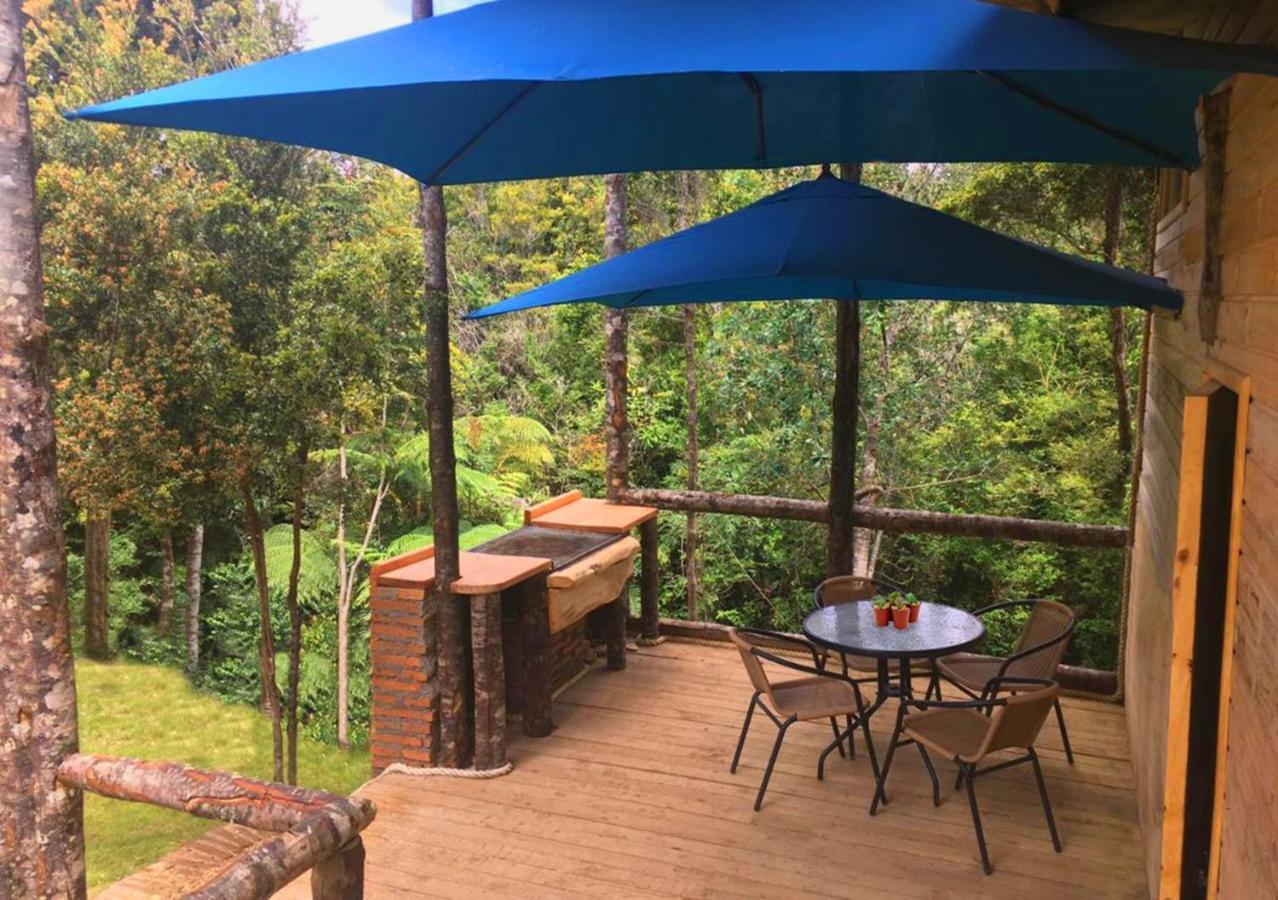 Cantos Del Chucao Lodge