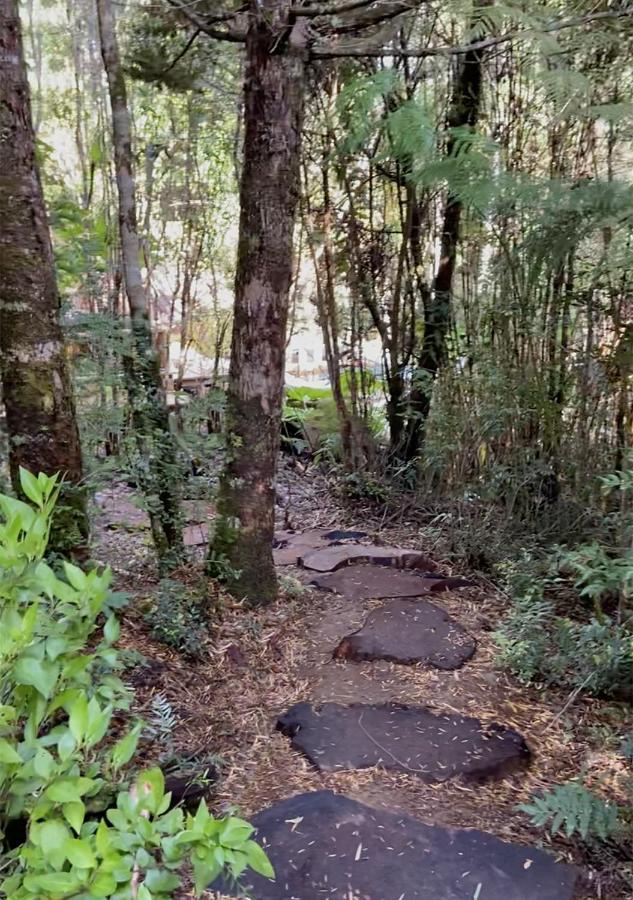 Cantos Del Chucao * Puerto Varas