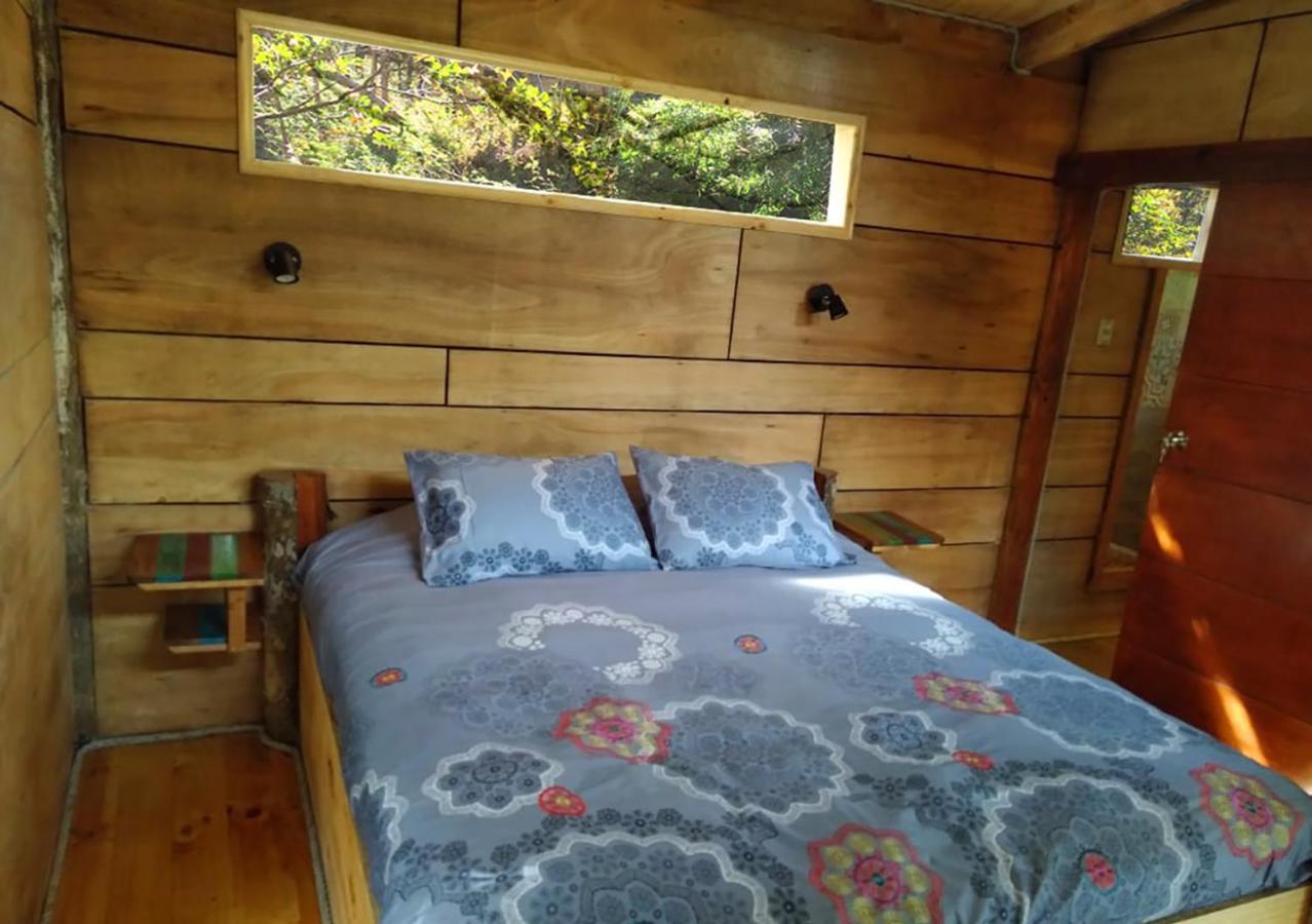 Cantos Del Chucao Puerto Varas