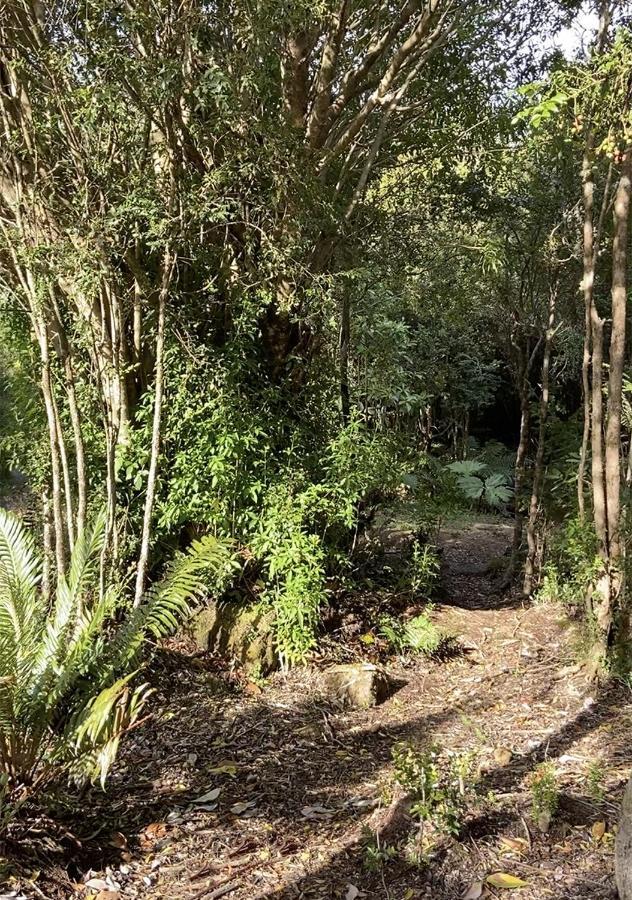 Cantos Del Chucao Lodge