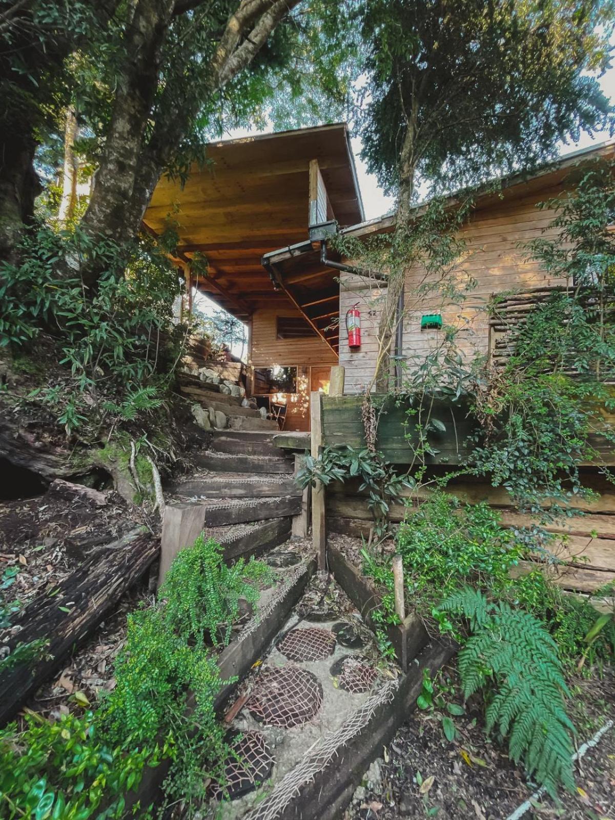 Cantos Del Chucao Puerto Varas